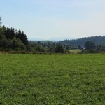 © L'étang de Gasserot_Saint-Avit - OT Combrailles