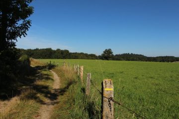 © L'étang de Gasserot_Saint-Avit - OT Combrailles