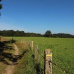 © L'étang de Gasserot_Saint-Avit - OT Combrailles