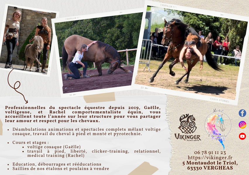 © Vikinger Spectacle Équestre_Vergheas - Vikinger spectacles équestre à Vergheas