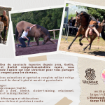 © Vikinger Spectacle Équestre_Vergheas - Vikinger spectacles équestre à Vergheas