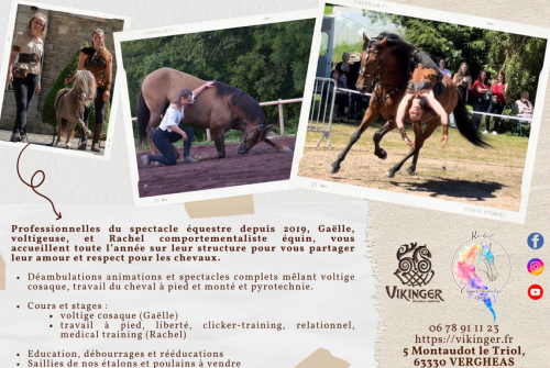 Vikinger Spectacle Équestre