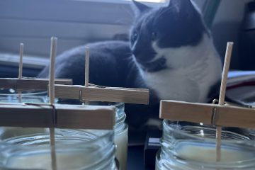 © Les Bougies du Buisson Servant - Benoit Kaliszczack