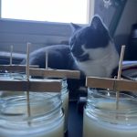 © Les Bougies du Buisson Servant - Benoit Kaliszczack