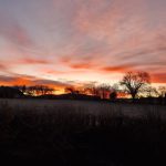 © Gîte Les Eylauds Pionsat - Lesley