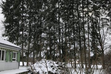 © La Symphonie des couleurs Condat-en-Combraille - MC