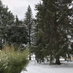 © La Symphonie des couleurs Condat-en-Combraille - MC