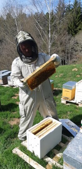 © L'Abeille Noire des Volcans_Puy-Saint-Gulmier - Husser