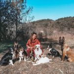 © Pension canine familiale - Ferme équestre Jolinka