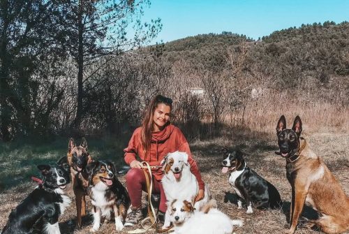 Pension canine Ferme équestre Jolinka