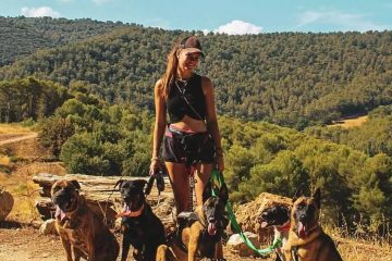 © Pension canine - Ferme équestre Jolinka