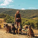 © Pension canine - Ferme équestre Jolinka