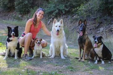 © Pension canine - Ferme équestre Jolinka