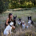 © Pension canine - Ferme équestre Jolinka