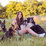 © Pension canine - Ferme équestre Jolinka