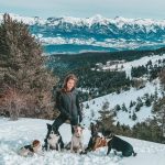 © Pension canine - Ferme équestre Jolinka