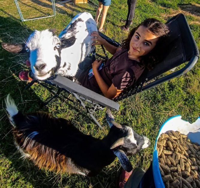 © Le petit fermier - apprenti éleveur - Ferme équestre Jolinka