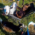 © Le petit fermier - apprenti éleveur - Ferme équestre Jolinka