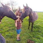 © Le petit fermier - apprenti éleveur - Ferme équestre Jolinka