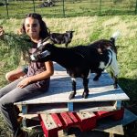 © Le petit fermier - apprenti éleveur - Ferme équestre Jolinka