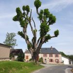 © La Roche de Quartz_Roche-d'Agoux - Combrailles Auvergne Tourisme