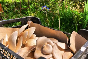 © La grange gourmande_Pionsat - La grange gourmande