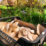 © La grange gourmande_Pionsat - La grange gourmande