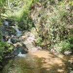 © Cascade de Champeaux - Combrailles Auvergne Tourisme
