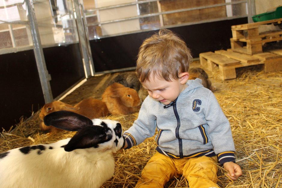 © Atelier petit fermier à La Ferme de la Marinette_Chapdes-Beaufort - La Ferme de la Marinette