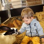 © Atelier petit fermier à La Ferme de la Marinette_Chapdes-Beaufort - La Ferme de la Marinette