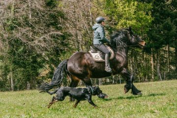 © Balade à cheval demi-journée_Chapdes-Beaufort - La ferme de la Marinette