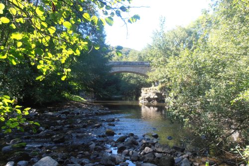 Entre Cher et Bocage