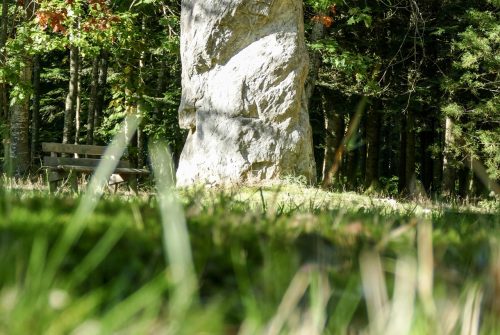 Menhir et Arboretum du bois des Brosses