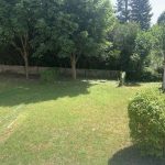 © La Queue du Milan - Gîte - Y Dufal