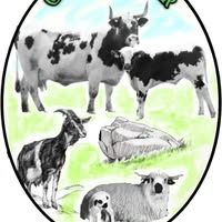 © Ho'Rocher Bio - ho rocher logo