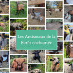© Les Amismaux de la forêt enchantée - CAPAROS