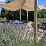 © Gîte Irön Horse - Irön Horse