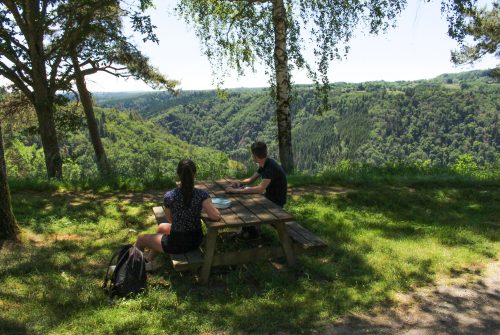 Aire de pique-nique - Belvédère des Ancizes