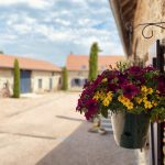 © Les Gîtes de Lachaux - Rose Tabourel