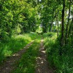 © Balade à Vergheas_Vergheas - Combrailles Auvergne Tourisme
