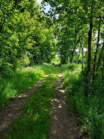 © Balade à Vergheas_Vergheas - Combrailles Auvergne Tourisme