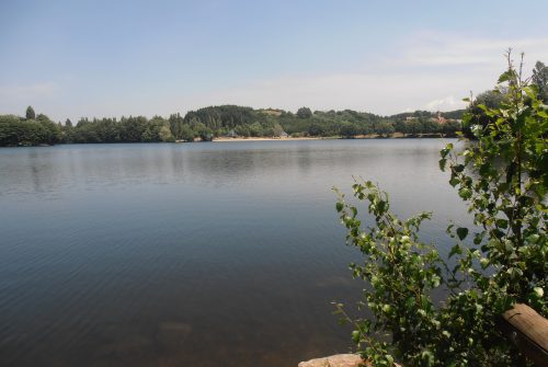 Aire de pique-nique - Plan d'Eau de Saint-Eloy-les-Mines