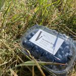 © Les Petits Fruits des Volcans - Le Provost