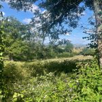 © Gîte le Puy-de-Dôme - Sophie BOSDEVEZY