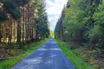 © Le sentier des bois de Verneugheol_Verneugheol - Combrailles Auvergne Tourisme