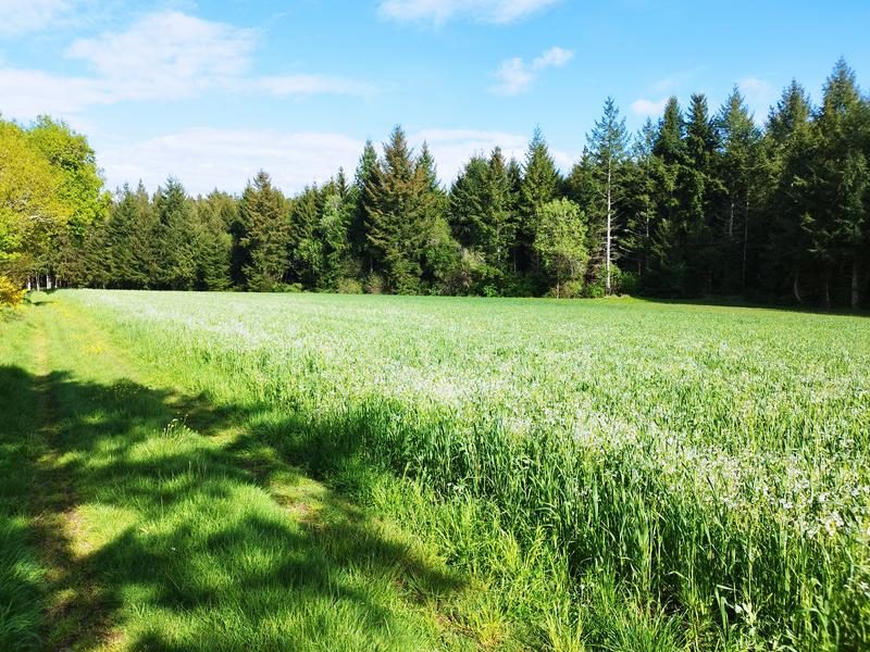 © Le sentier des bois de Verneugheol_Verneugheol - Combrailles Auvergne Tourisme