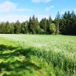 © Le sentier des bois de Verneugheol_Verneugheol - Combrailles Auvergne Tourisme