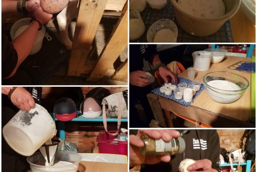 Mini ferme L'Arverne