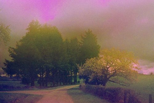 Exposition de photographie - La diagonale du plein