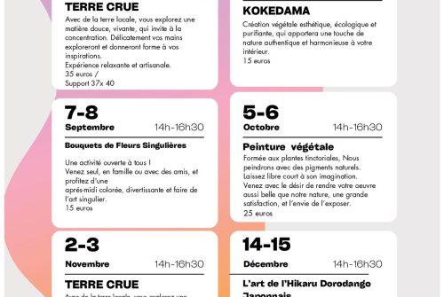 Ateliers créatifs - L'art de Hikaru Dorodango